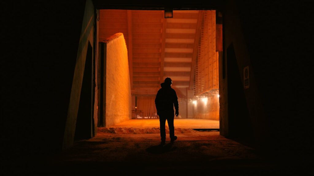 pexels photo 36553074.jpeg